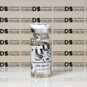 Testosterona E 250 mg Prime